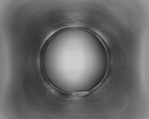 X0000112361460200908271243