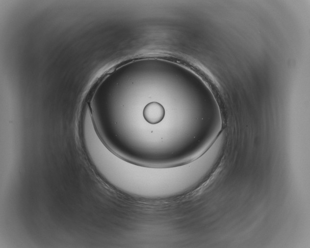 X0000112361461200908271243