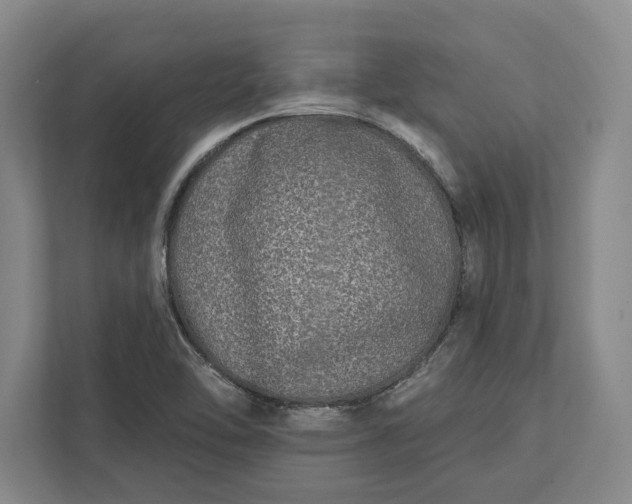 X0000112361462200908271243