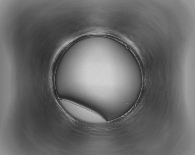 X0000112361464200908271243