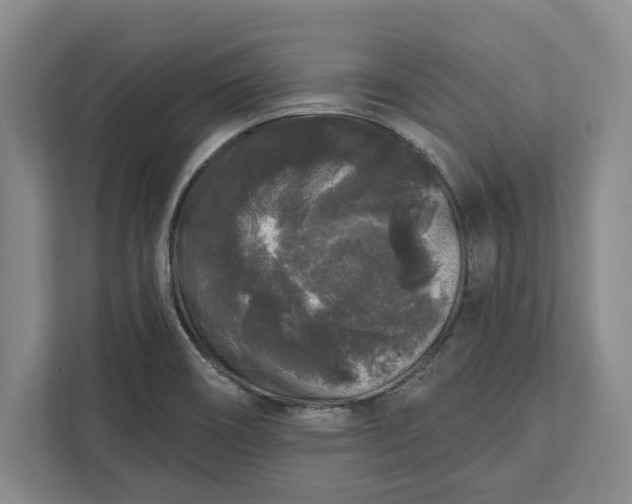 X0000112361466200908271243