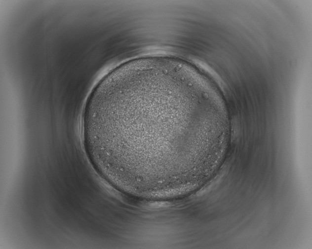 X0000112361467200908271243