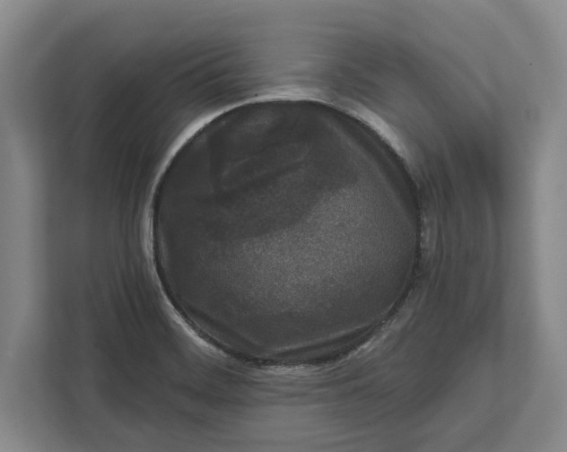 X0000112361468200908271243