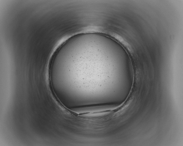 X0000112361469200908271243