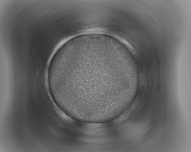 X0000112361470200908271243