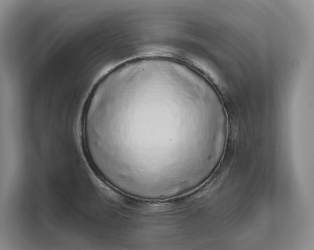 X0000112361471200908271243