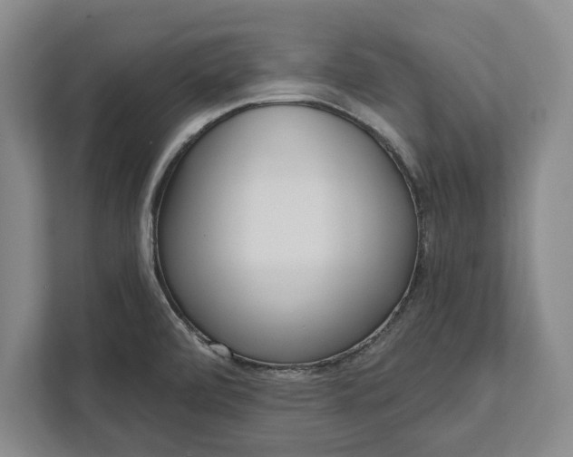 X0000112361472200908271243