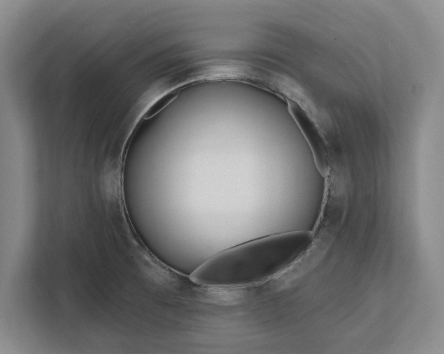 X0000112361473200908271243