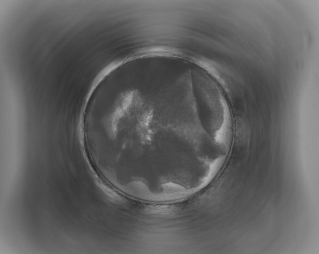 X0000112361474200908271243