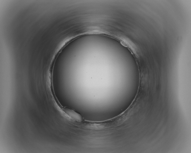 X0000112361476200908271243