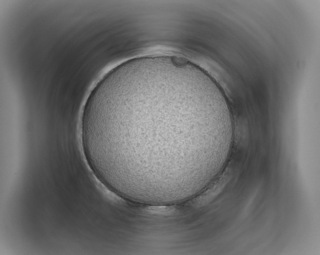 X0000112361478200908271243