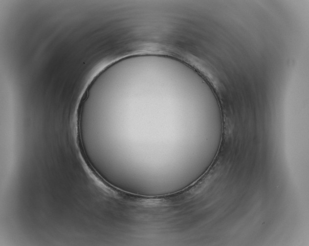 X0000112361479200908271243