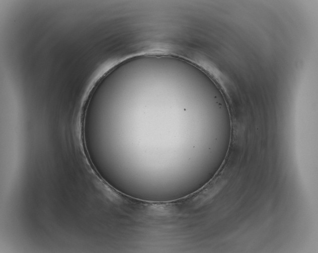 X0000112361480200908271243