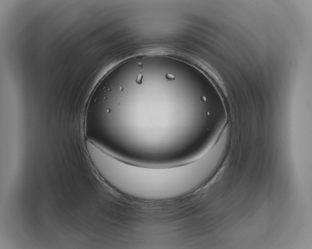 X0000112361481200908271243