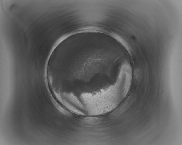 X0000112361482200908271243