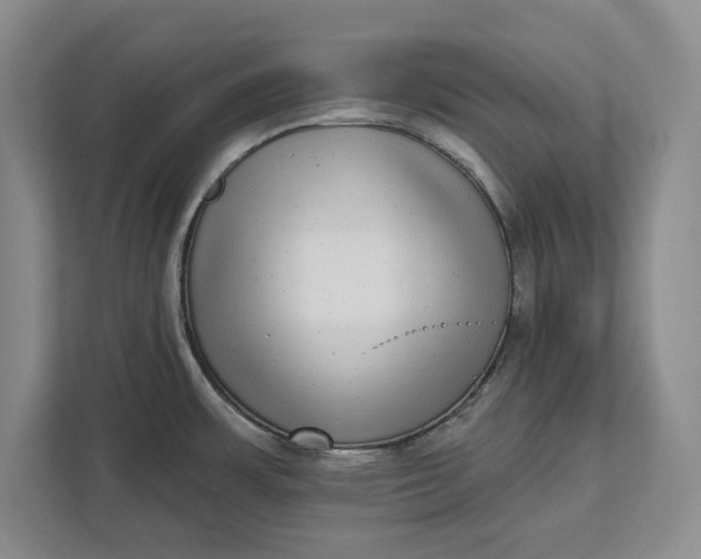 X0000112361483200908271243