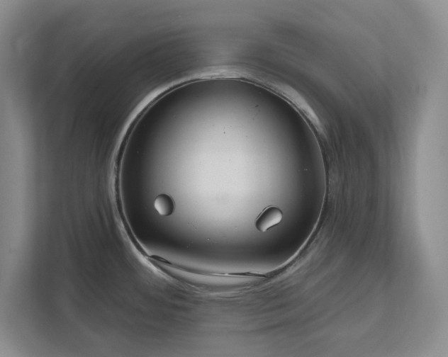 X0000112361484200908271243