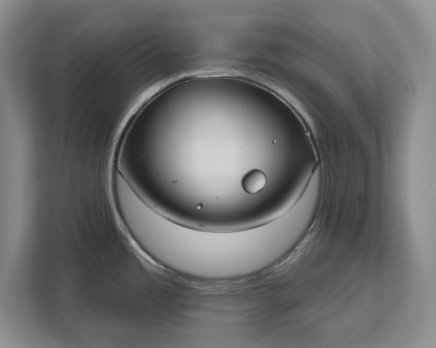 X0000112361485200908271243