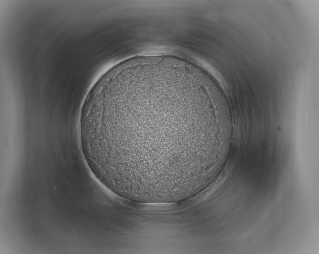 X0000112361487200908271243