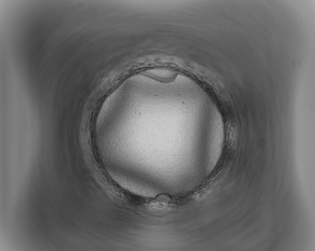 X0000112361489200908271242