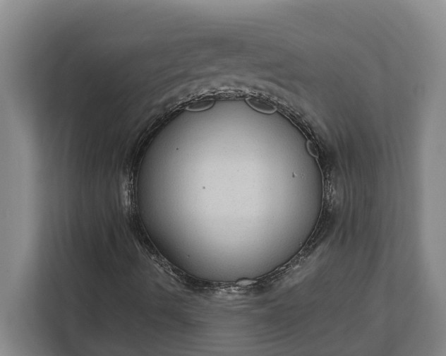 X0000112361490200908271242