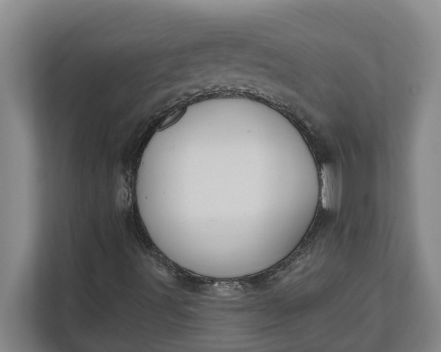 X0000112361491200908271242