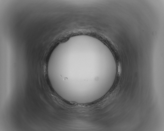 X0000112361492200908271242