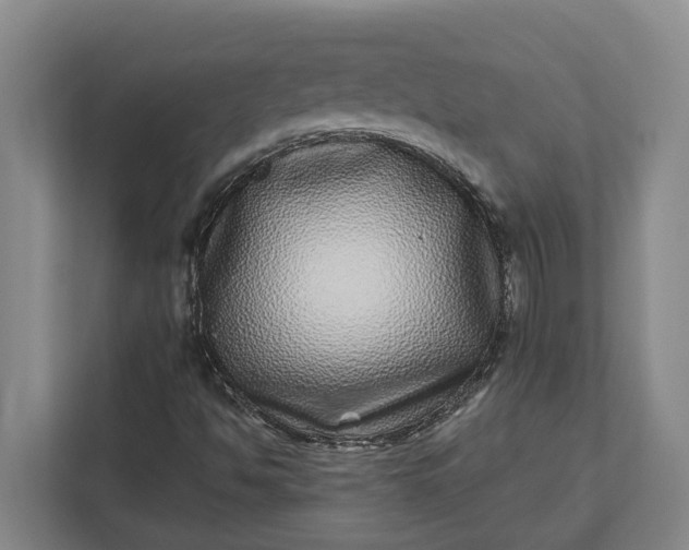 X0000112361494200908271242