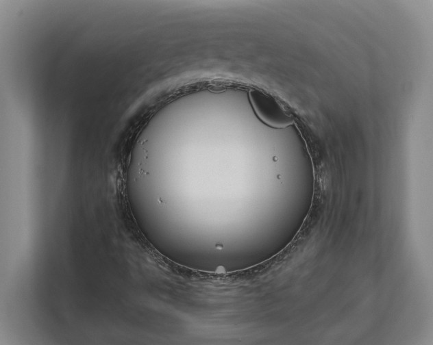 X0000112361495200908271242