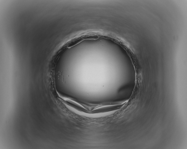 X0000112361496200908271242