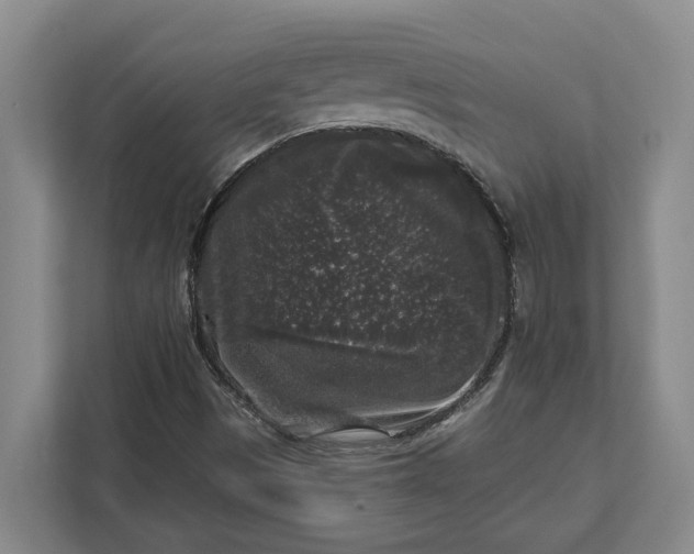 X0000112361497200908271242