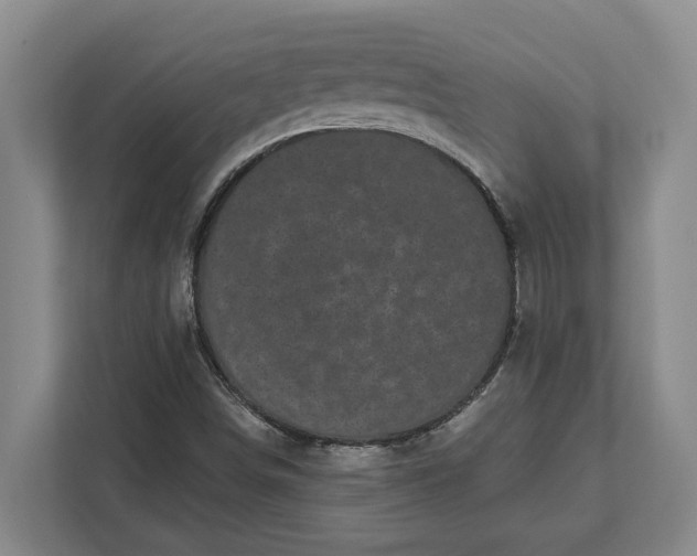 X0000112361498200908271242