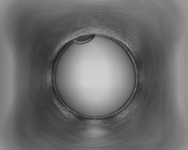 X0000112361499200908271242