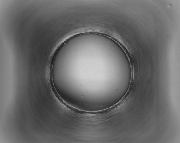 X0000112361500200908271243