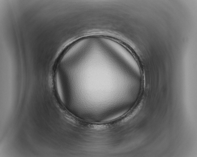 X0000112361501200908271243