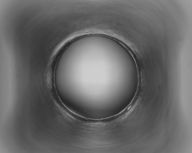 X0000112361502200908271243