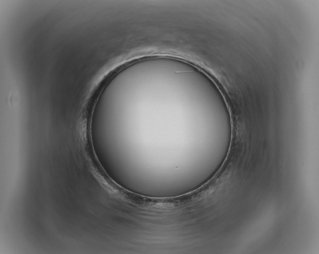 X0000112361503200908271243