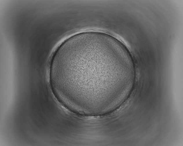 X0000112361504200908271243