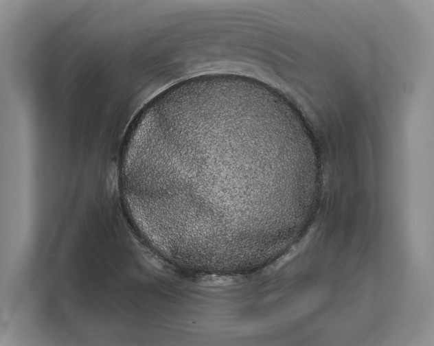 X0000112361505200908271243