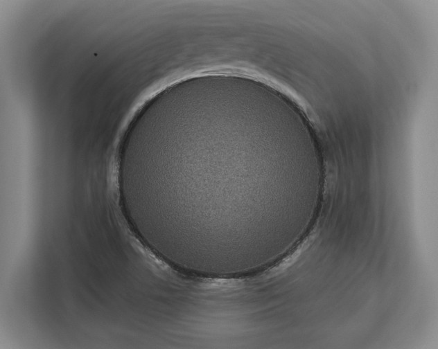 X0000112361506200908271243