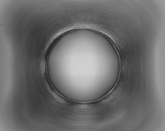 X0000112361507200908271243