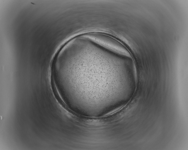 X0000112361508200908271243