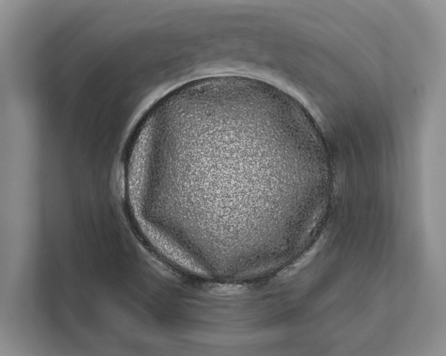 X0000112361509200908271243