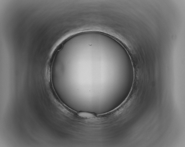 X0000112361510200908271243