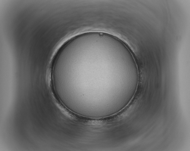 X0000112361511200908271243