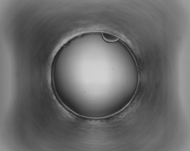 X0000112361512200908271243