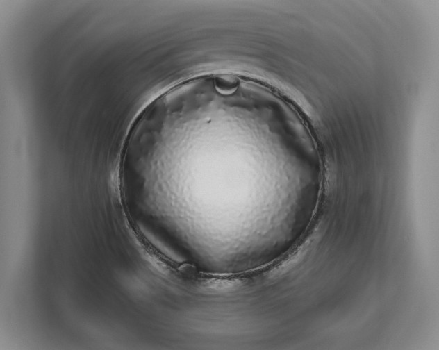 X0000112361513200908271243