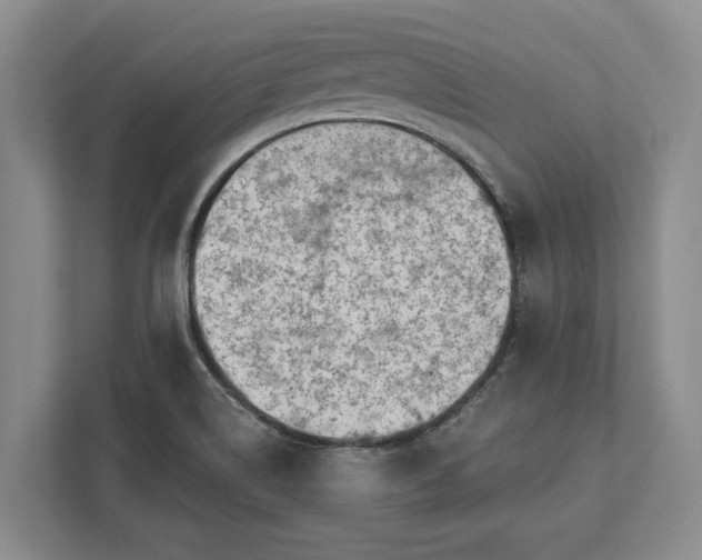 X0000112361514200908271243