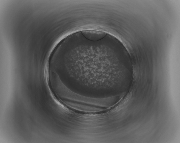 X0000112361515200908271243