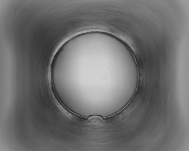 X0000112361516200908271243